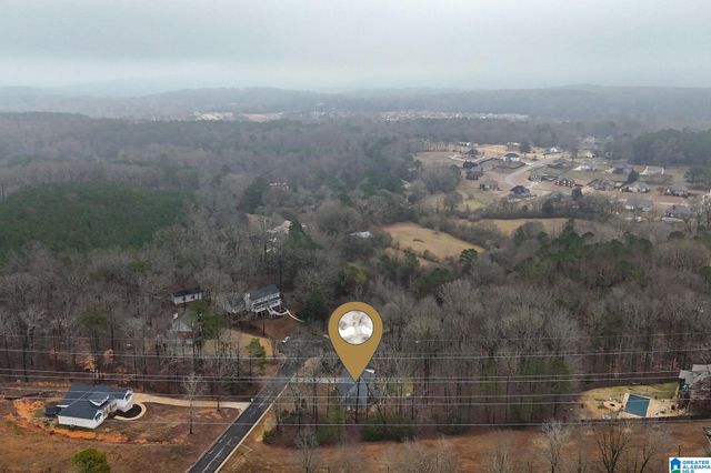 110 HERITAGE PLACE, Springville, AL 35146