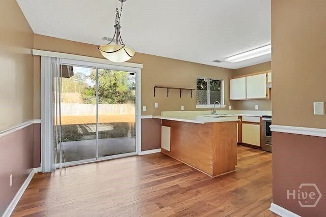 12 Brown Thrasher Court, Richmond Hill, GA 31324