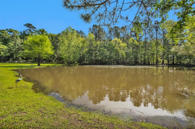 13713 Sarah Circle Drive, Willis, TX 77378