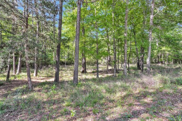 13713 Sarah Circle Drive, Willis, TX 77378