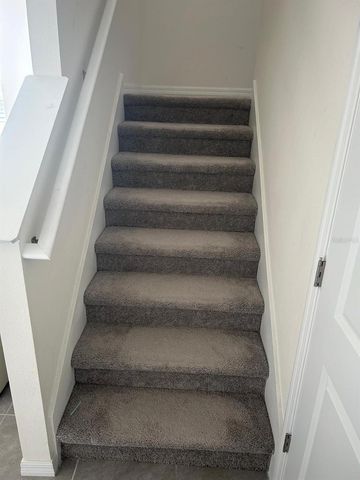 33518 ELM HILL BRANCH, Wesley Chapel, FL 33545