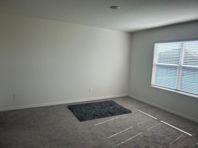 33518 ELM HILL BRANCH, Wesley Chapel, FL 33545