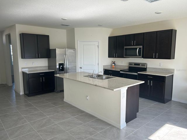 33518 ELM HILL BRANCH, Wesley Chapel, FL 33545