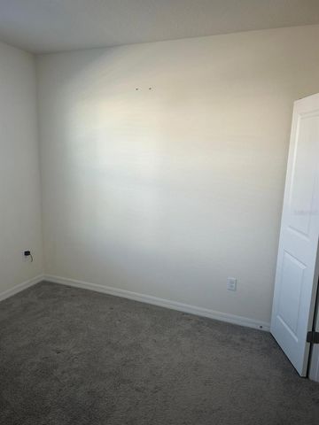 33518 ELM HILL BRANCH, Wesley Chapel, FL 33545