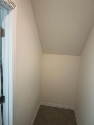 33518 ELM HILL BRANCH, Wesley Chapel, FL 33545