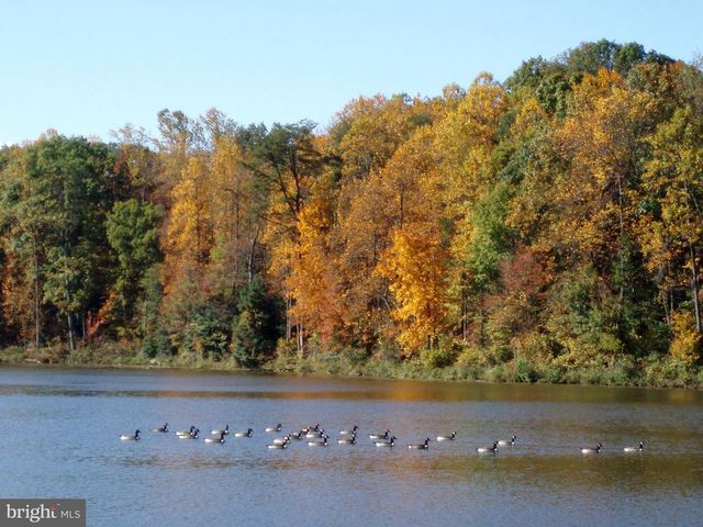 5342 GUINEA RD, Fairfax, VA 22032