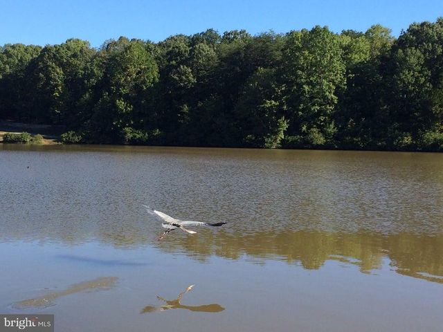 5342 GUINEA RD, Fairfax, VA 22032