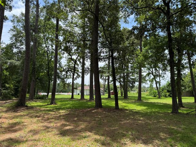 17230 Fm 1488 Road, Magnolia, TX 77354