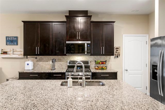 11412 LAKE LUCAYA DRIVE, Riverview, FL 33579