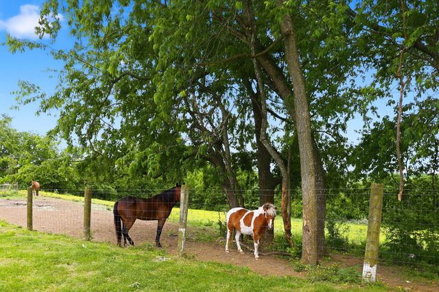 335 Jay Road, Owingsville, KY 40360