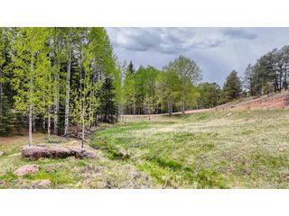 42 Rabbit Cir, Florissant, CO 80816