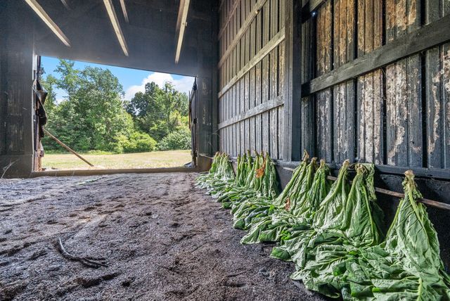 8127 Pleasant Hill Rd, Cross Plains, TN 37049