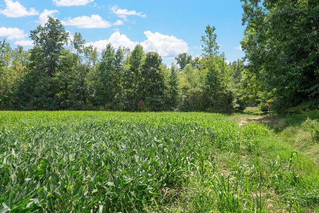 8127 Pleasant Hill Rd, Cross Plains, TN 37049