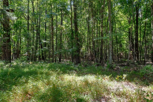 8127 Pleasant Hill Rd, Cross Plains, TN 37049