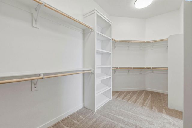 867 Thebes Street, West Richland, WA 99353