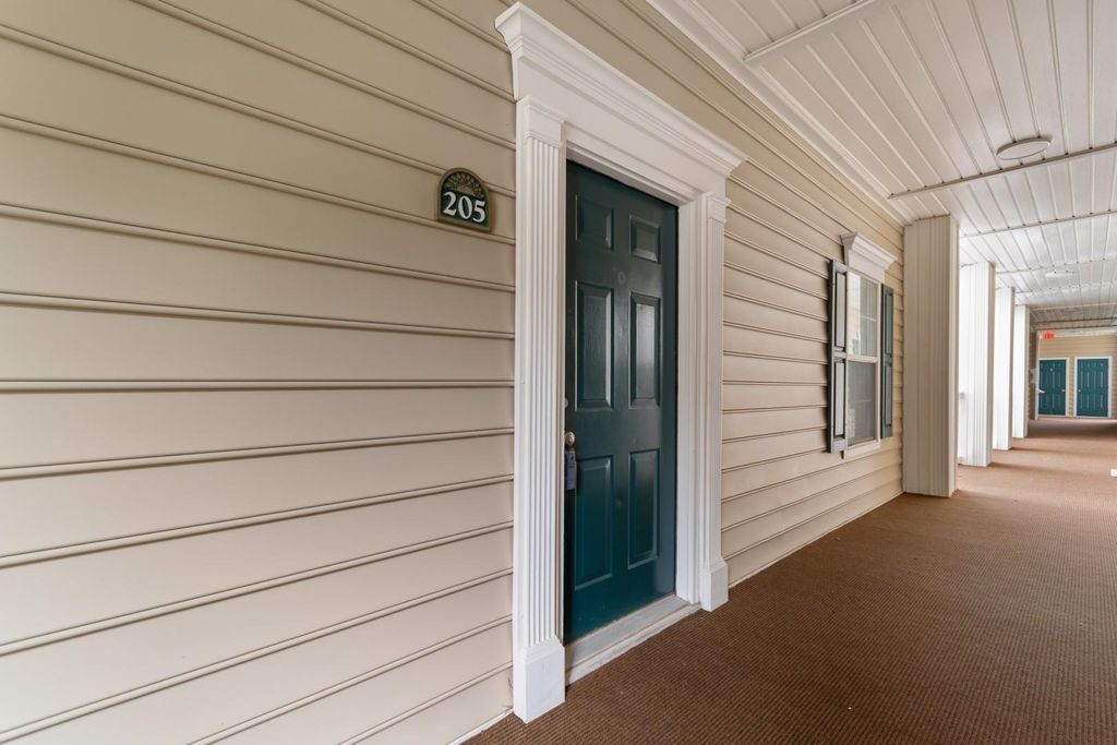 248 Sun Colony Blvd Unit 205, Longs, SC 29568 — photo 3