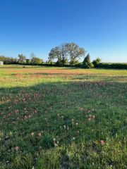 3951 Brushy Road, Granbury, TX 76048
