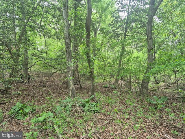9472 QUAIL RUN RD, Denton, MD 21629
