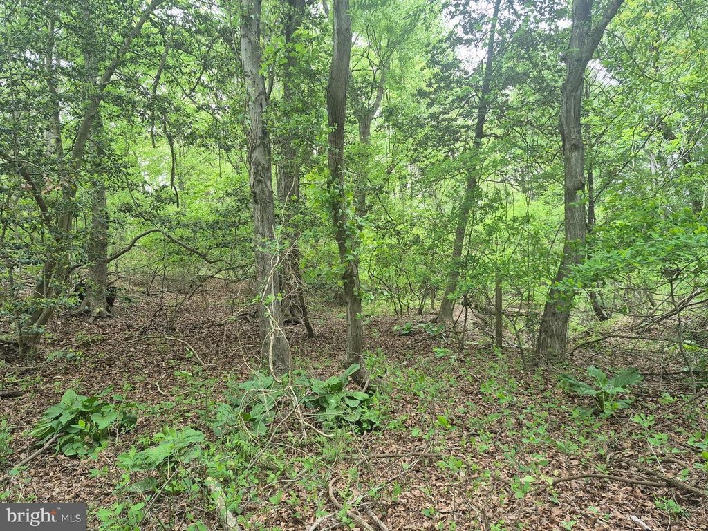 Image 24 of property listing at 9472 QUAIL RUN RD, Denton, MD 21629