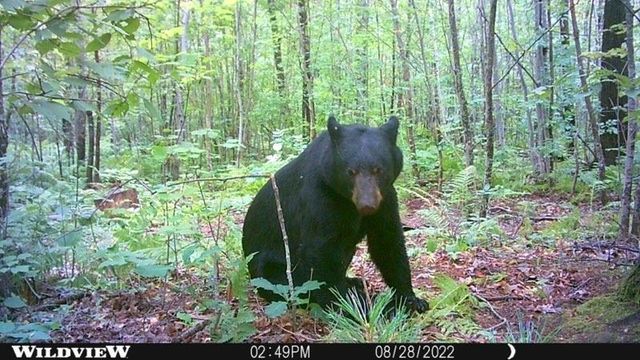 W2294 Highway 70, Spooner, WI 54801