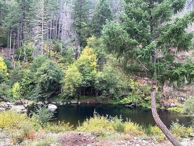 4696 COW CREEK Rd, Riddle, OR 97469