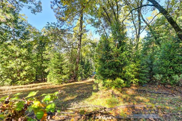6584 Green Leaf Ln, Foresthill, CA 95631