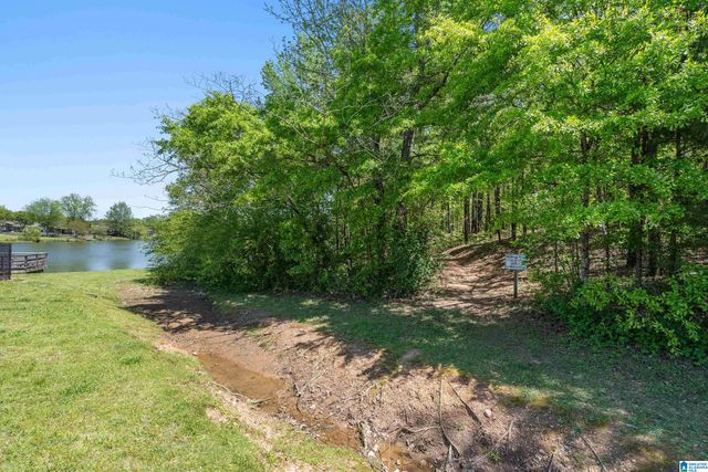 169 CAMDEN COVE PARKWAY, Calera, AL 35040