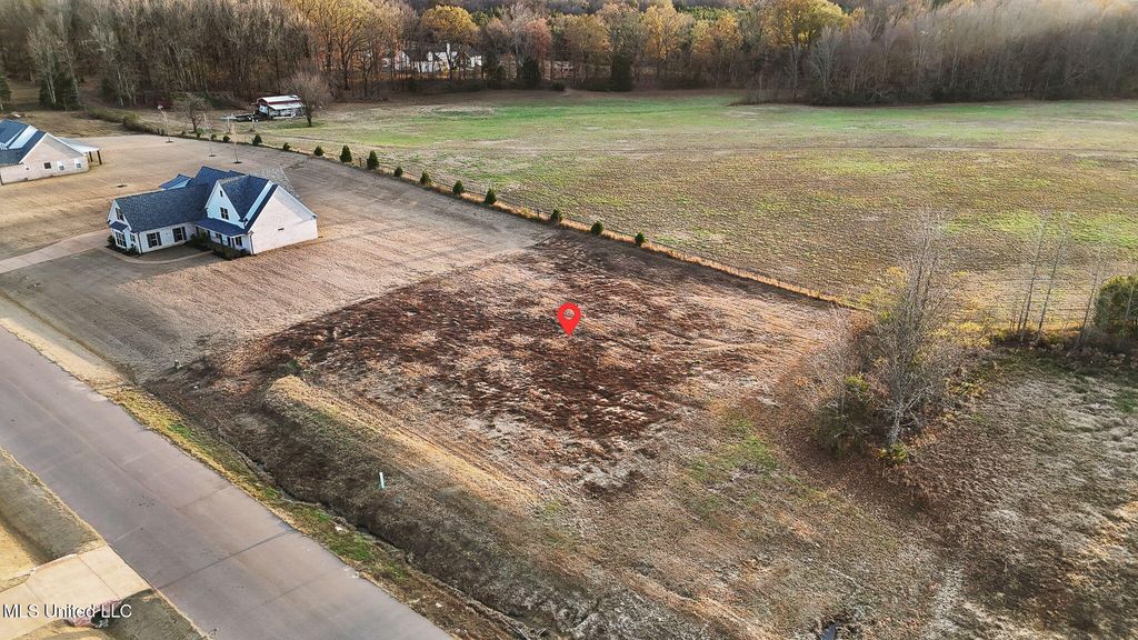 1505 Ashtons Lane, Hernando, MS 38632 — exterior