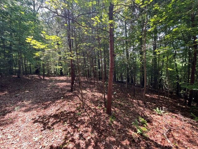 5 Birds View Lane, Murphy, NC 28906