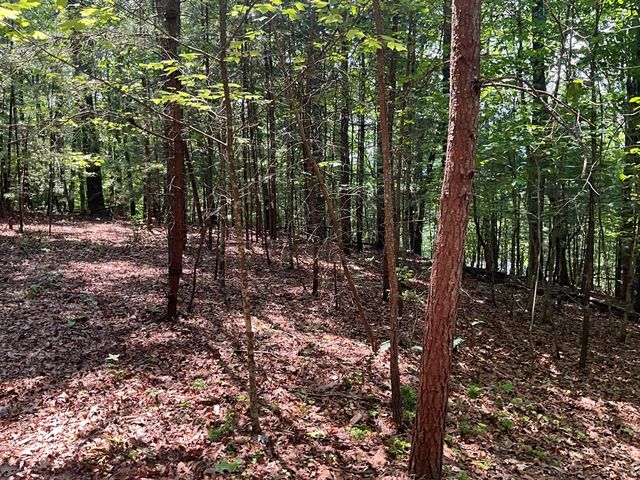 5 Birds View Lane, Murphy, NC 28906