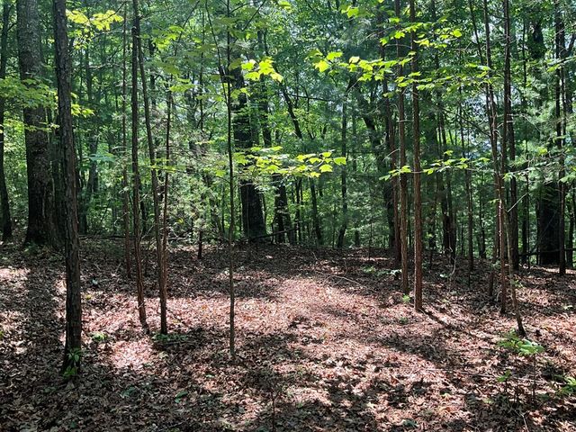5 Birds View Lane, Murphy, NC 28906