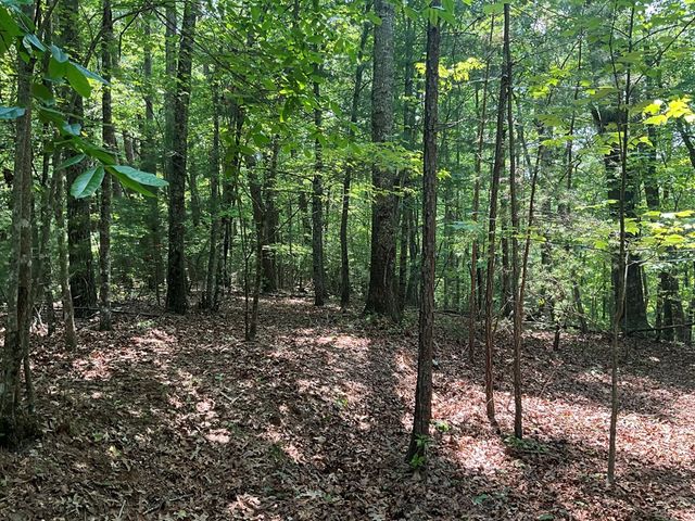 5 Birds View Lane, Murphy, NC 28906
