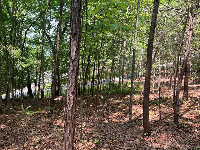 5 Birds View Lane, Murphy, NC 28906