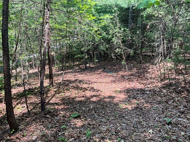 5 Birds View Lane, Murphy, NC 28906