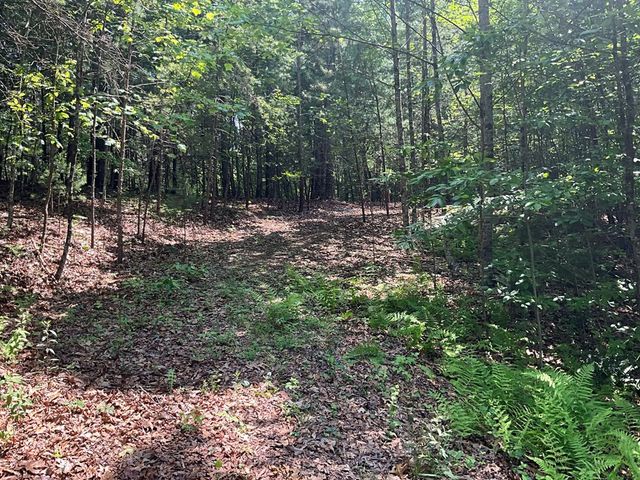 5 Birds View Lane, Murphy, NC 28906
