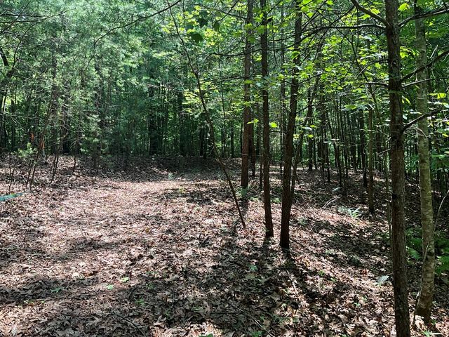5 Birds View Lane, Murphy, NC 28906
