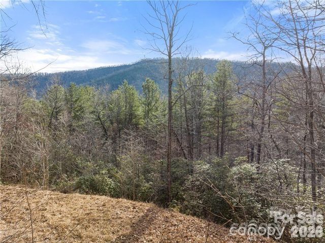 28 Trillium Lane C-1, Black Mountain, NC 28711