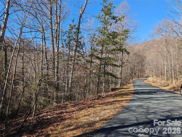 28 Trillium Lane C-1, Black Mountain, NC 28711