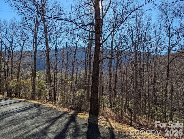 28 Trillium Lane C-1, Black Mountain, NC 28711