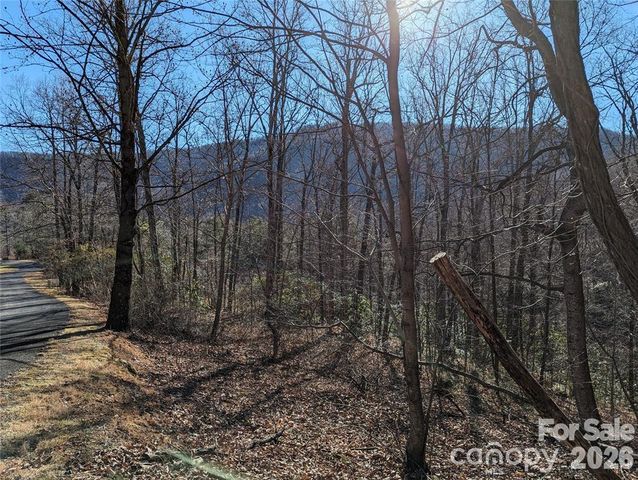 28 Trillium Lane C-1, Black Mountain, NC 28711