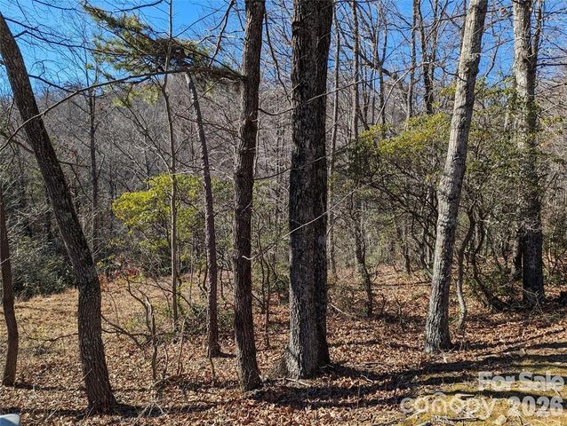28 Trillium Lane C-1, Black Mountain, NC 28711