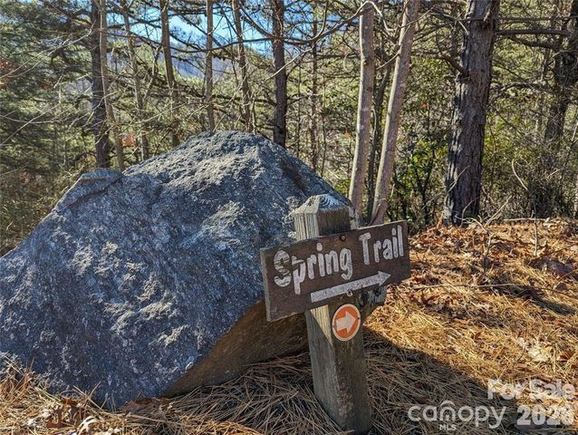 28 Trillium Lane C-1, Black Mountain, NC 28711