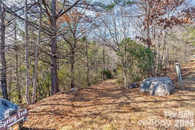 28 Trillium Lane C-1, Black Mountain, NC 28711