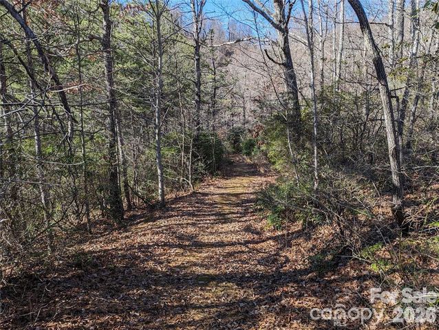 28 Trillium Lane C-1, Black Mountain, NC 28711