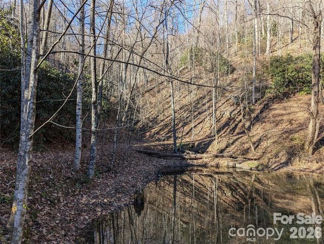 28 Trillium Lane C-1, Black Mountain, NC 28711