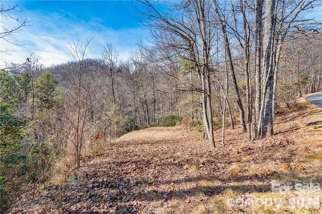 28 Trillium Lane C-1, Black Mountain, NC 28711