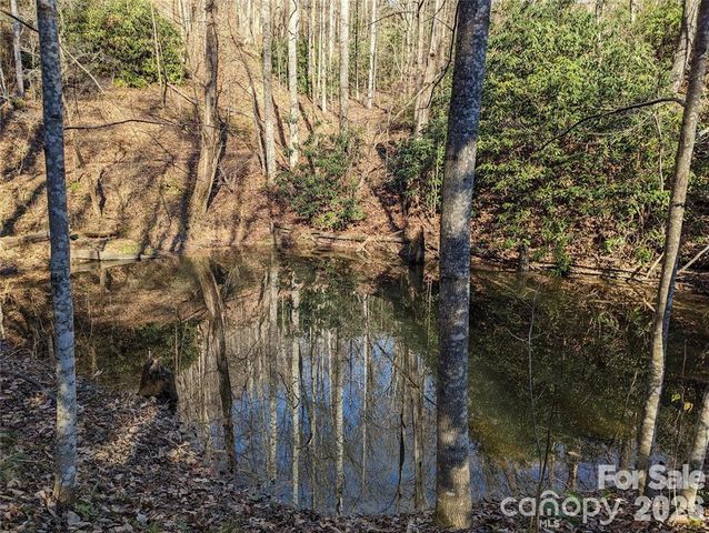 28 Trillium Lane C-1, Black Mountain, NC 28711