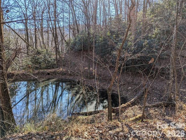 28 Trillium Lane C-1, Black Mountain, NC 28711