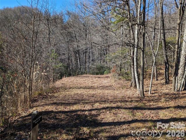 28 Trillium Lane C-1, Black Mountain, NC 28711