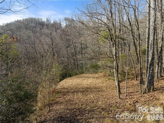 28 Trillium Lane C-1, Black Mountain, NC 28711